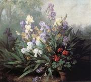 Landscape with Irises